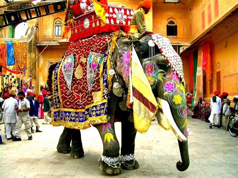 A Charismatic Elephant: Uma Visita Inesquecível ao Jardim Nacional de Elefantes em Jaipur!