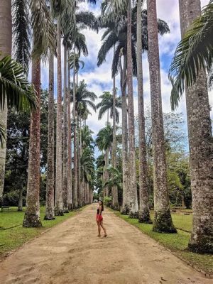 Jardim Botânico do Rio de Janeiro: Uma Obra-Prima da Natureza em Meio à Cidade Maravilhosa!