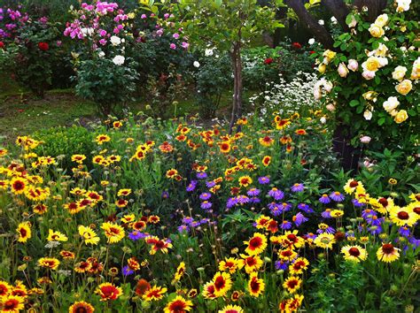 O Jardim de Flores de Kite é um paraíso floral que te levará aos céus!