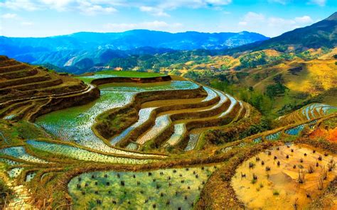 As Maravilhas Escondidas de Longji Terraced Fields: Uma Obra-Prima da Natureza e da Cultura Zhuang!