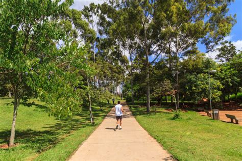  O Parque Ecológico de Gwanghalli: Um Oásis Verde no Coração Vibrante de Busan!